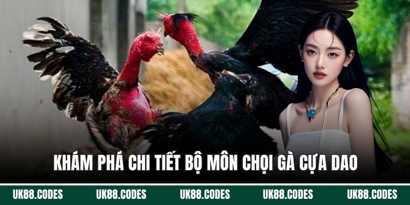 Khám phá chi tiết bộ môn chọi gà cựa dao